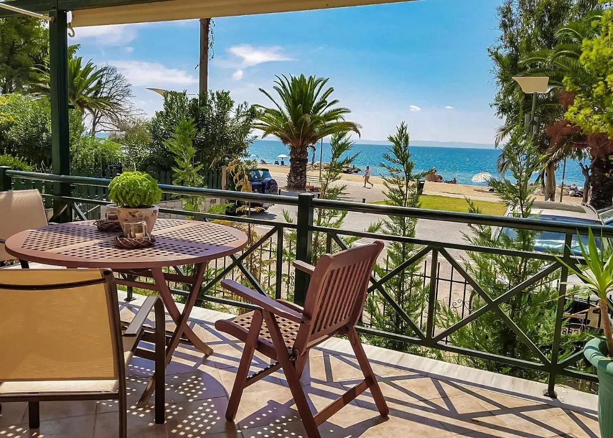 Seafront Privilege House Nikiti Beach contacts
